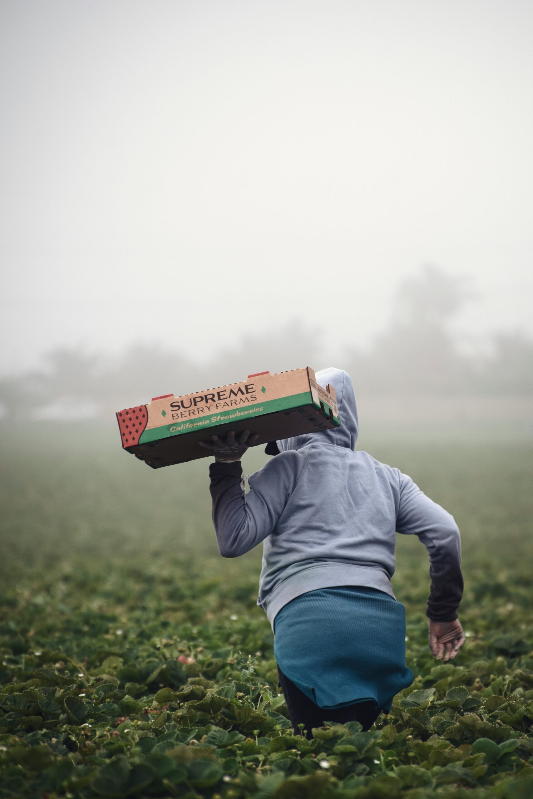 tim mossholder zoiurv5fi k unsplash